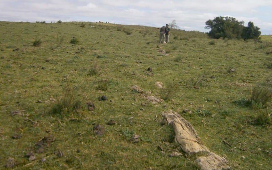 Aguia Resources dusts off old drill results, confirms rare earths in Brazil