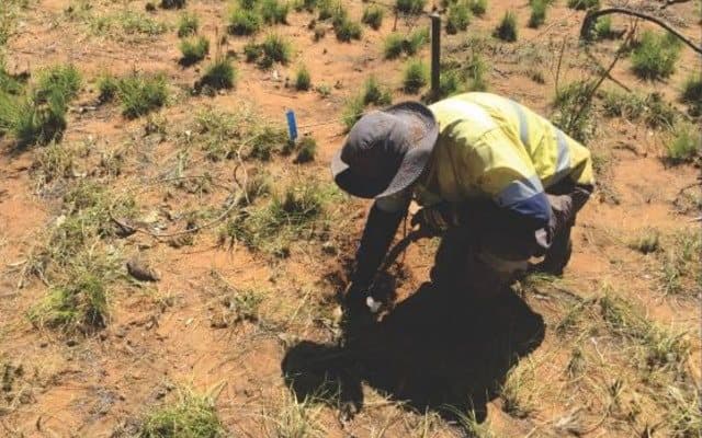 Buxton Resources increases West Kimberley acreage with nickel-copper-cobalt acquisition
