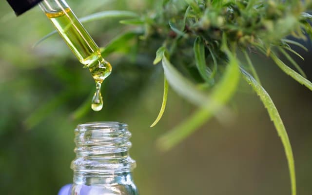 Drawbacks of the TGA’s cannabis changes for listed pot stocks