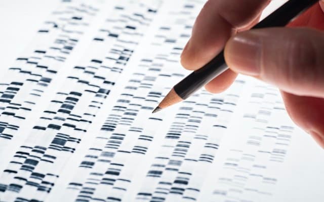 Genetic Technologies partners with US research centre to commercialise polygenic risk tests