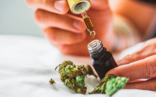 Growing market share is priority work for local medicinal cannabis producer Little Green Pharma