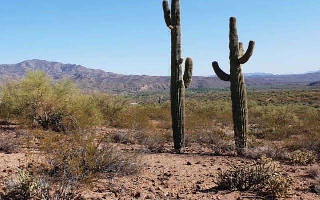 High-grade assays see Hawkstone Mining increase landholding at Western Desert gold-copper project