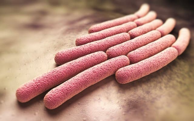 Immuron reports positive results from Travelan testing, develops anti-dysentery vaccine products