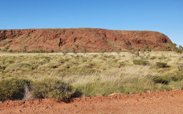 Iron ore juniors attracting local billionaires