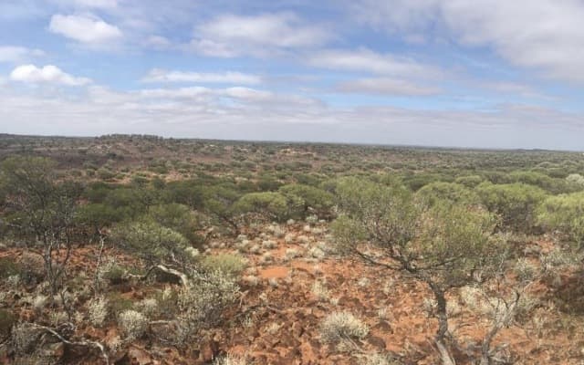 Mt Venn returns outstanding drill results for Great Boulder Resources