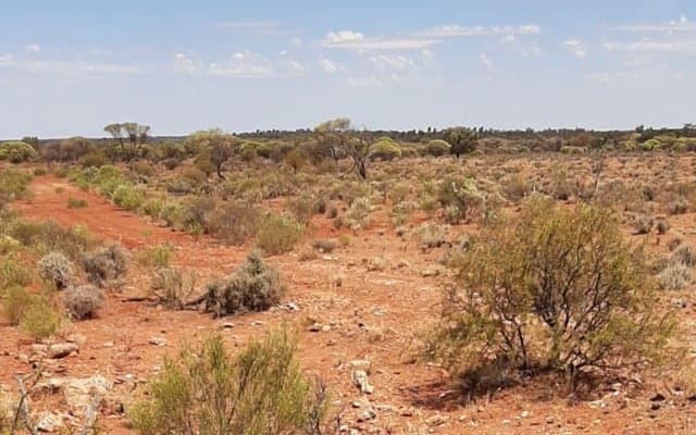 Olympio Metals agrees to farm-in with Liontown Resources over WA lithium projects