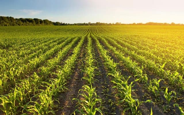 South Harz Potash signs maiden drilling contract for Ohmgebirge