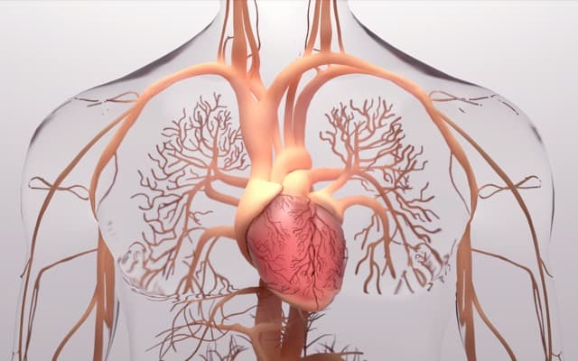 Vectus Biosystems unveils more promising results from phase 1 clinical trial