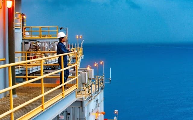 Woodside Energy’s revenue down 29% after production hold ups