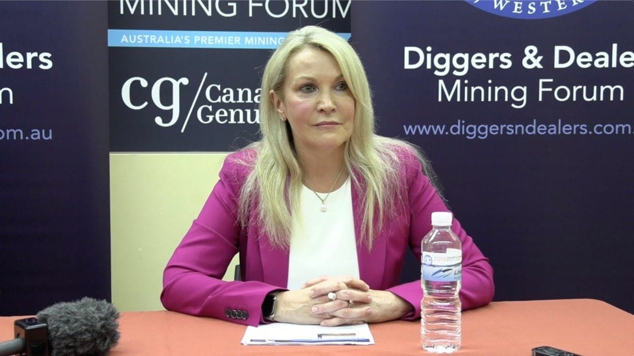 Fortescue Metals CEO Elizabeth Gaines: latest company news and the iron ore market