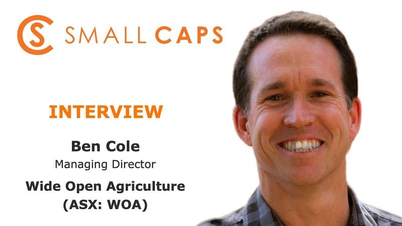 Wide Open Agriculture set to penetrate the plant-based protein market in 2021